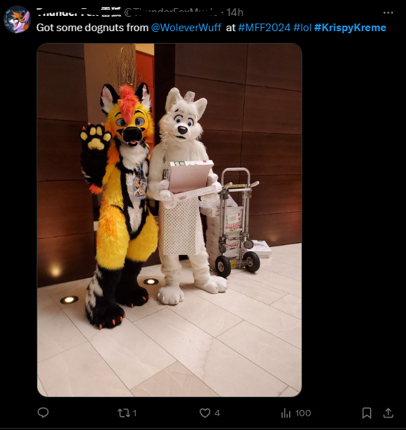 5 Docile animals of an unidentified species present their haul of Krispy Kreme Donuts